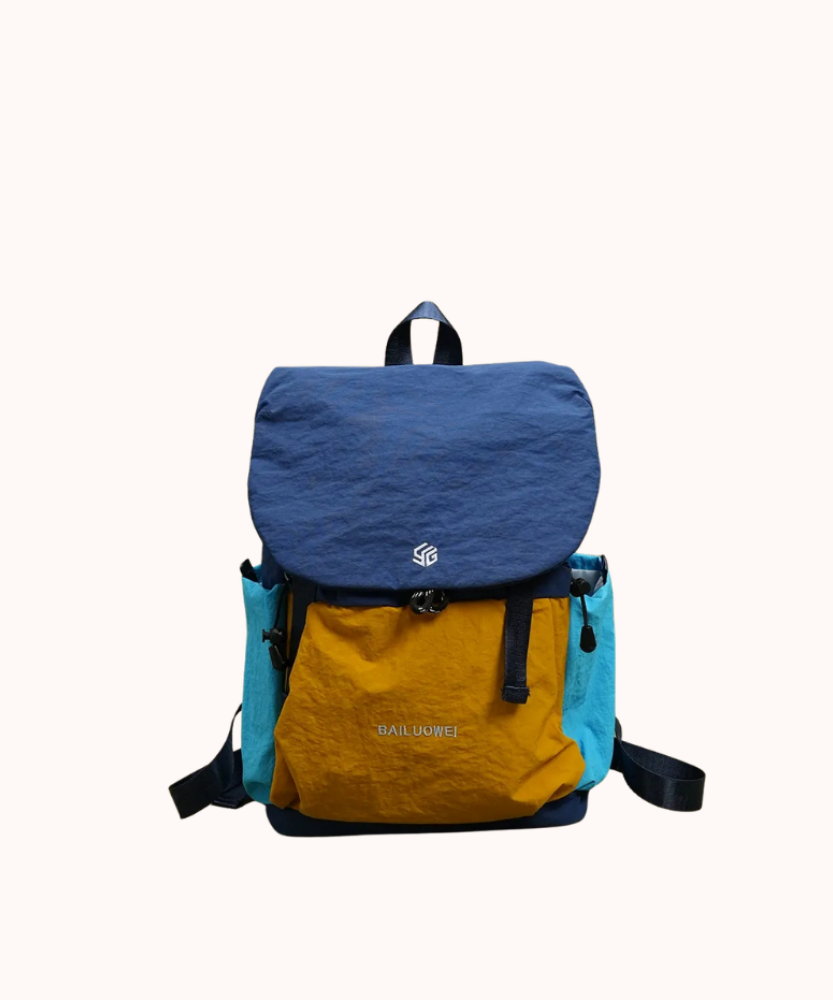 Ashborne Casual Backpack