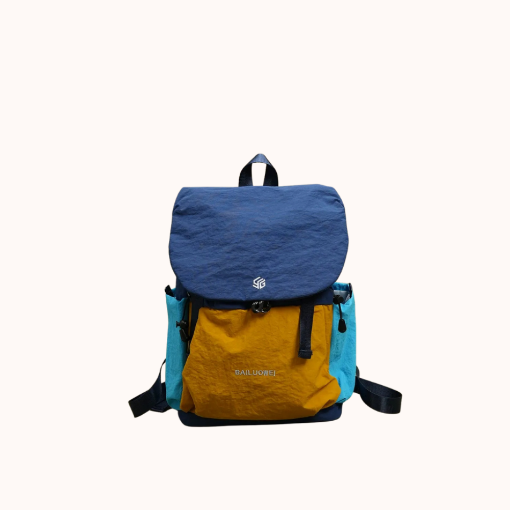 Ashborne Casual Backpack