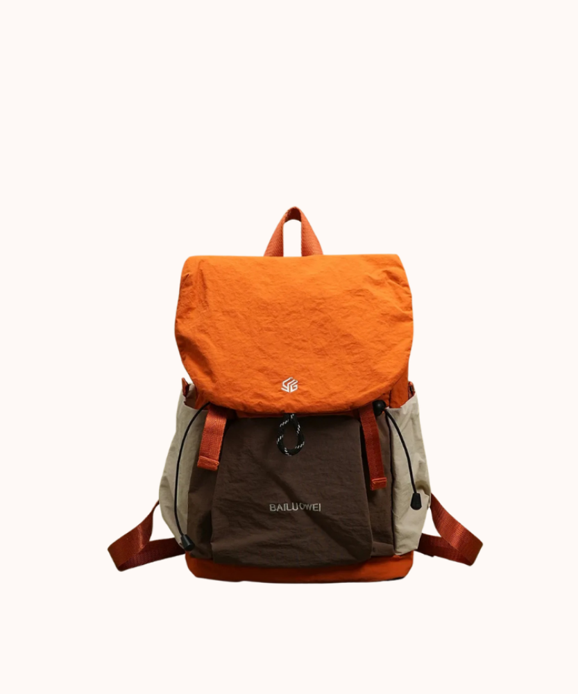 Ashborne Casual Backpack