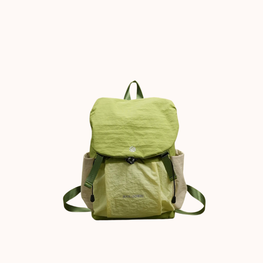 Ashborne Casual Backpack